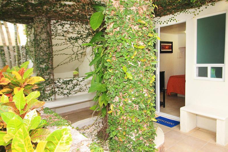 La Vigueta Bon Jesus Hotel מראה חיצוני תמונה